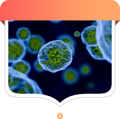 Hệ miễn dịch suy yếu